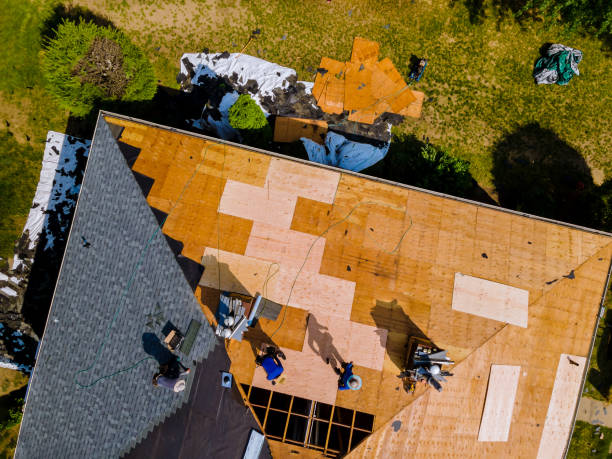 Best Roof Gutter Cleaning  in Chelsea, MI