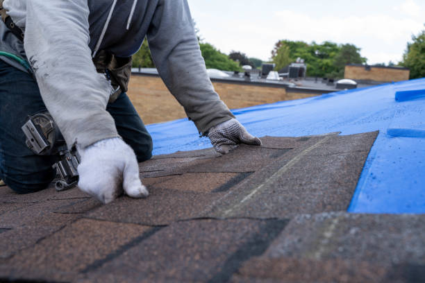 Roof Waterproofing Services in Chelsea, MI