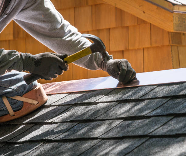 Best Flat Roof Repair Services  in Chelsea, MI